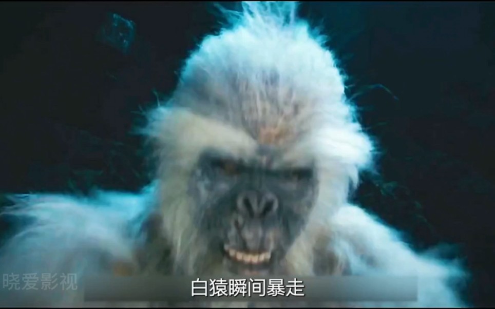 为何盗墓贼意外惊醒沉睡的湘西尸王