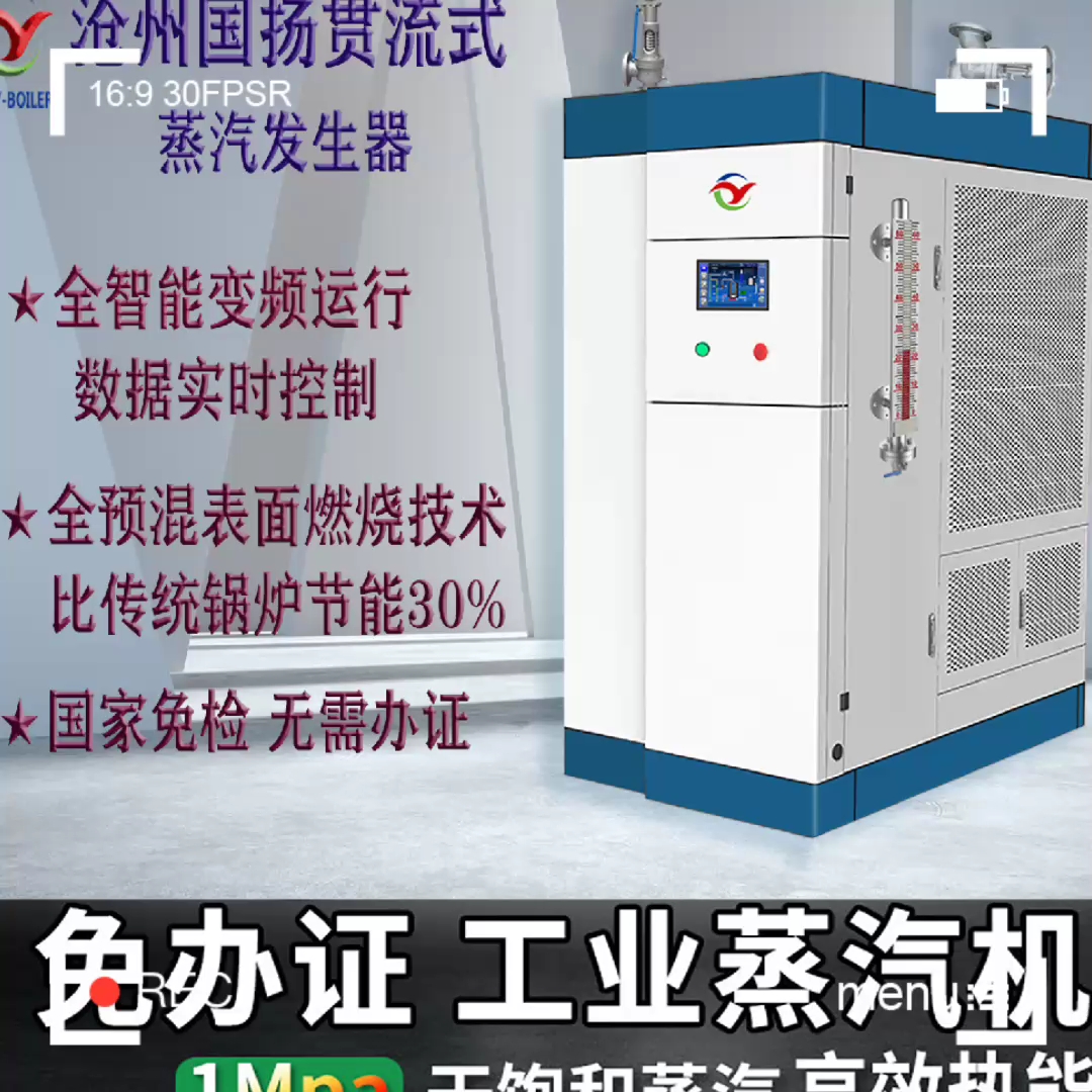 沧州国扬全预混立式贯流燃气蒸汽发生器节能环保