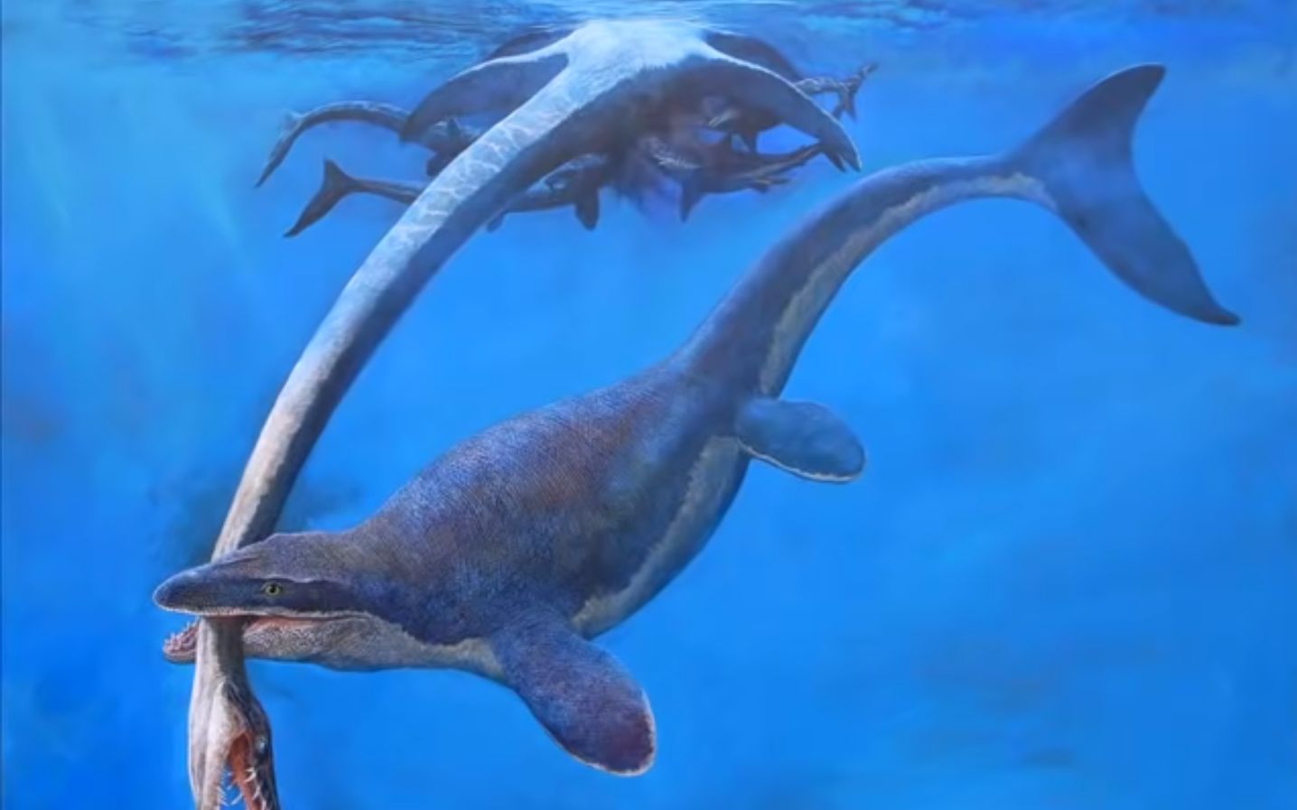 沧龙和他的帝国_哔哩哔哩_bilibili