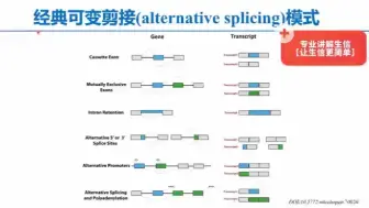 Download Video: 经典的可变剪接( alternative splicing)模式有哪些类型呢？