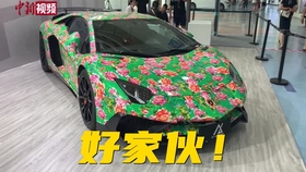 看到了东北山村 顿时感觉南方山村不香了 日本瑞士山村不美了 哔哩哔哩 つロ干杯 Bilibili