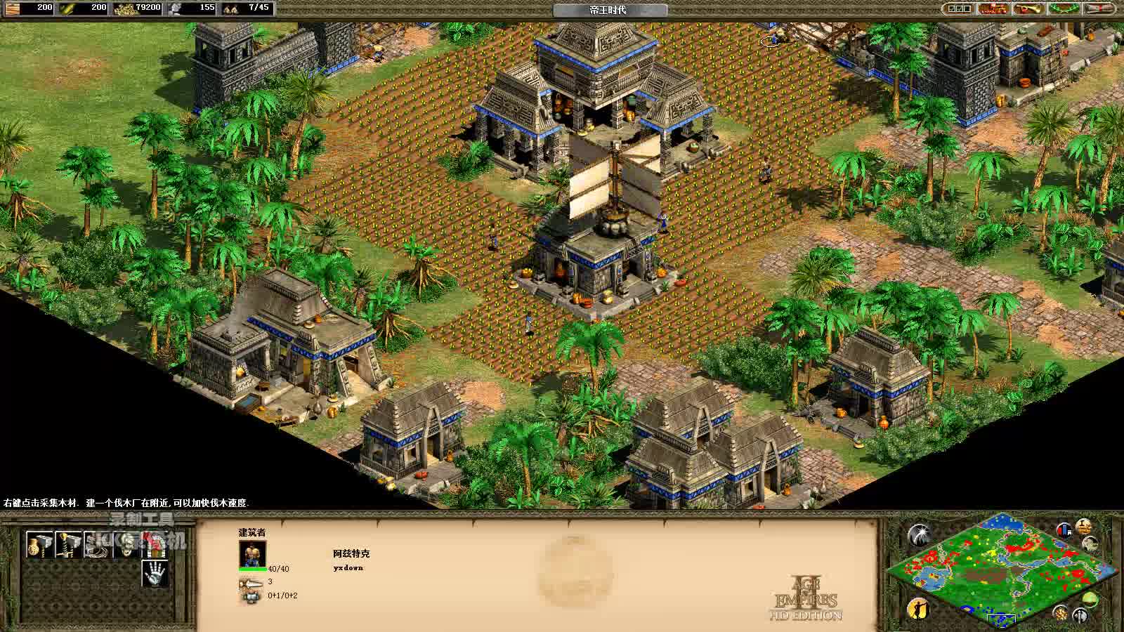 单机游戏帝国时代2征服者战役