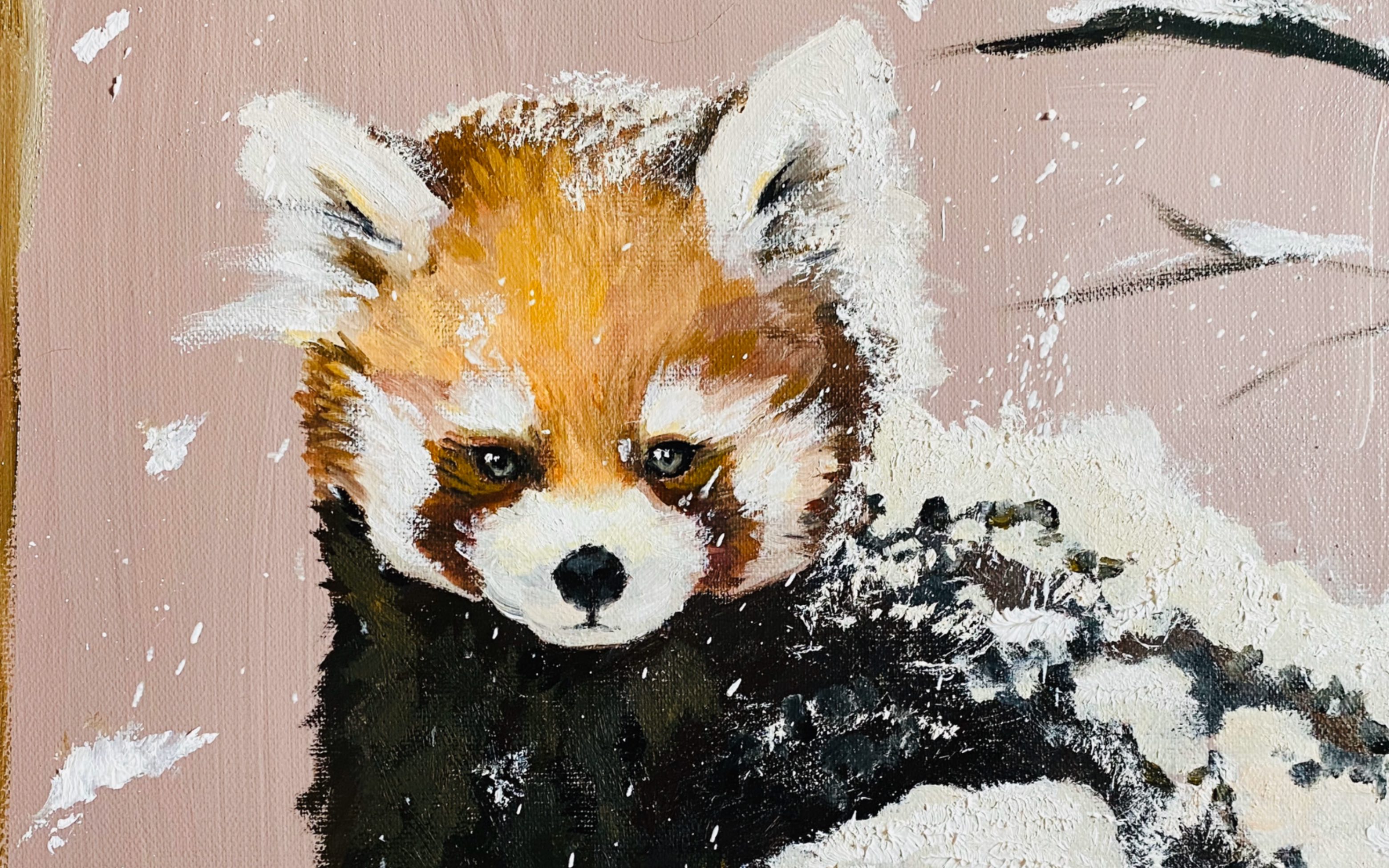 【油画】【小熊猫】炎炎夏日来一只糖霜小能吧!(我又忘记录全过程了…