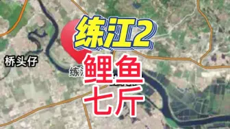 Download Video: 练江第二集！0.8子线4号袖钩7斤2两超级大鲤鱼！还有2条大板鲫。要发财了兄弟们！