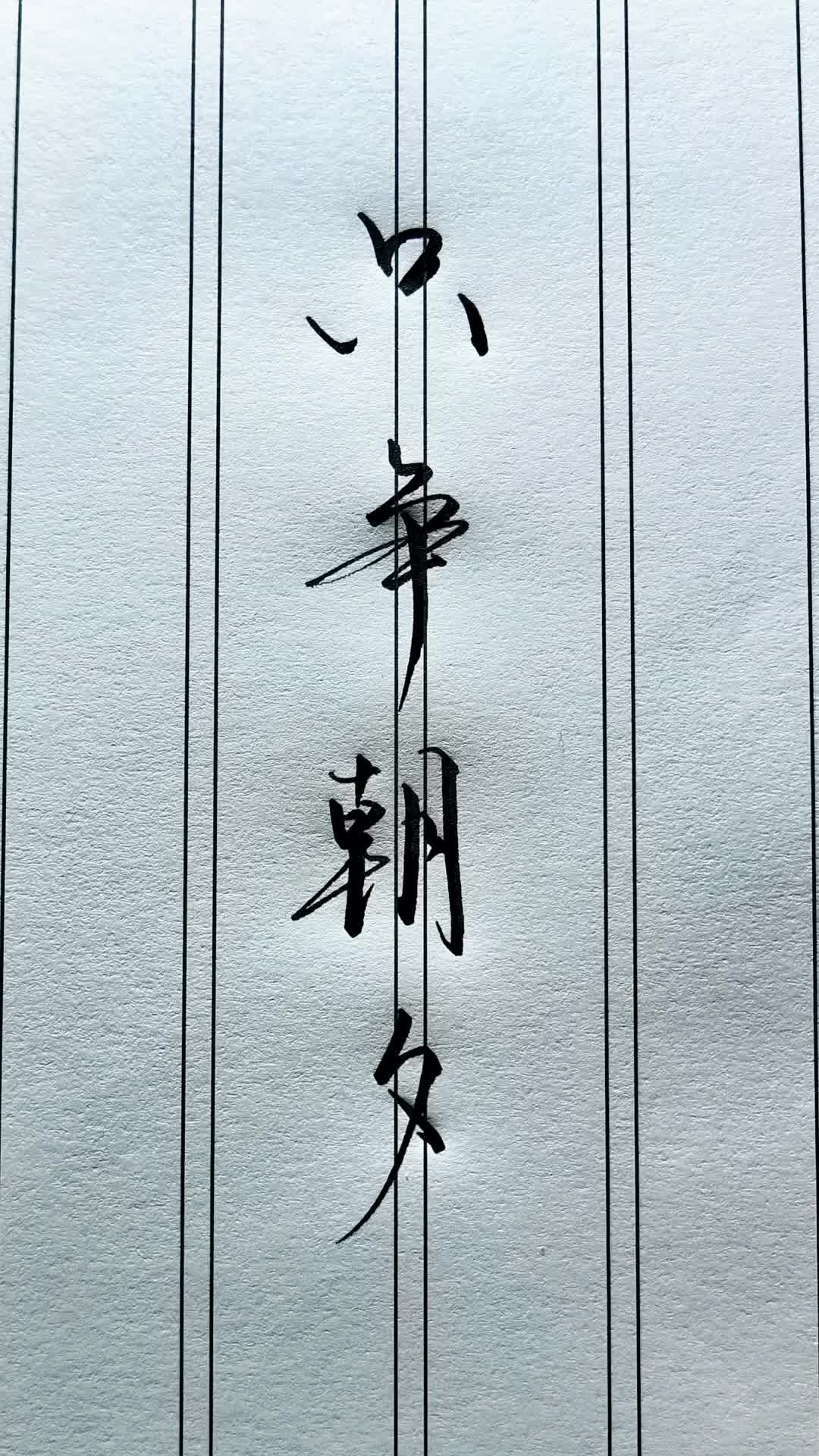 只争朝夕.看到这几个字,你会想到谁?你还记得是什么意思吗?