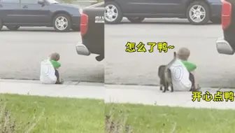 好暖！猫咪主动安慰路边难过的小男孩，画面太暖心