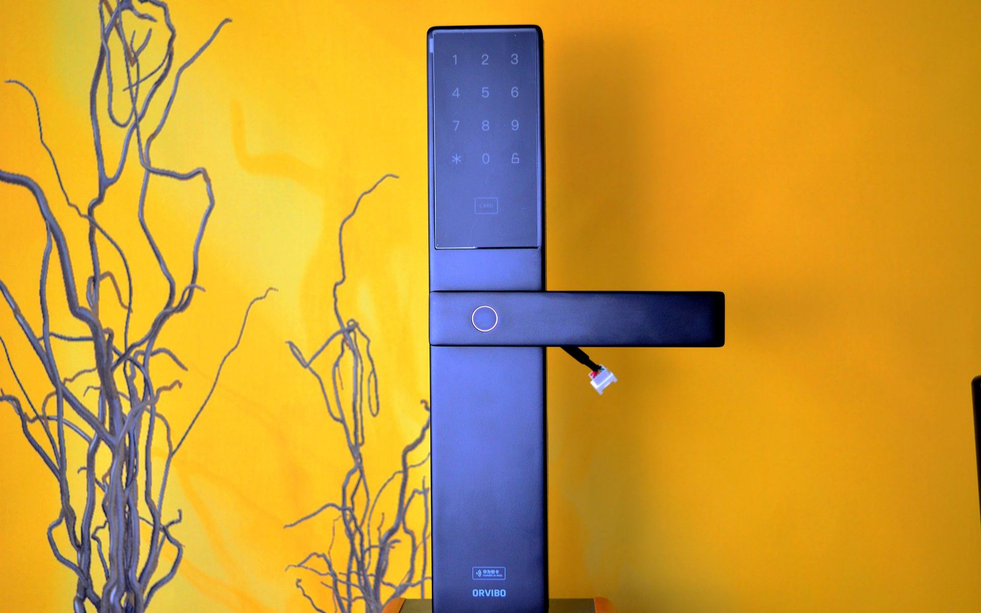 活动作品聪明又敬职的门神欧瑞博智能门锁c1