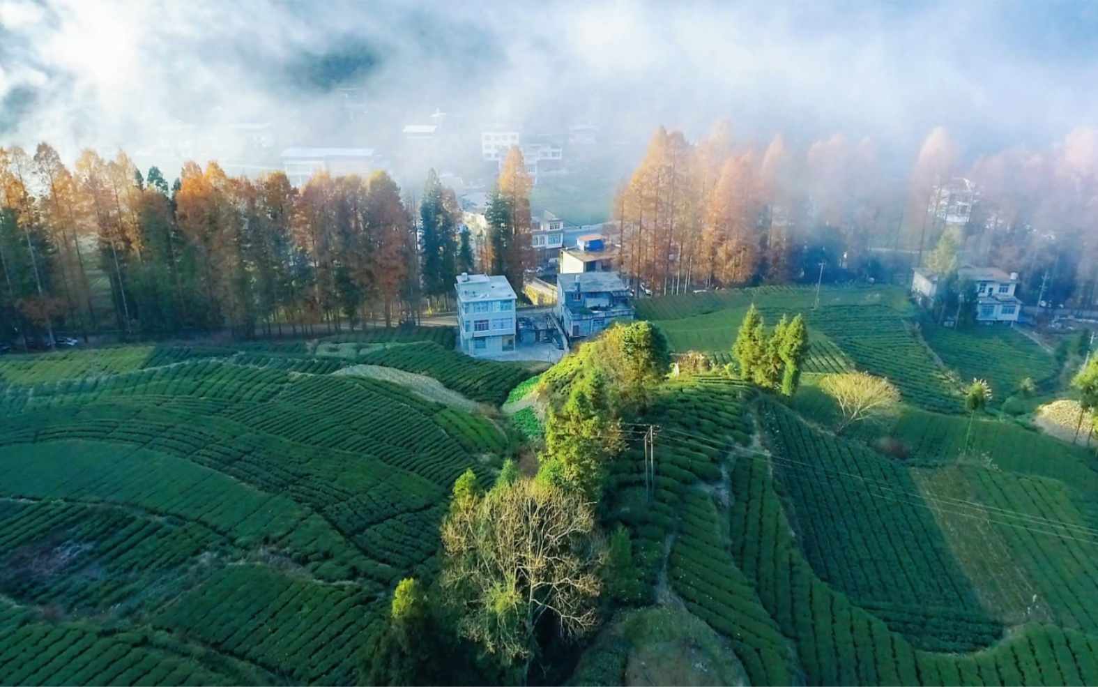 利川毛坝旅游景点图片