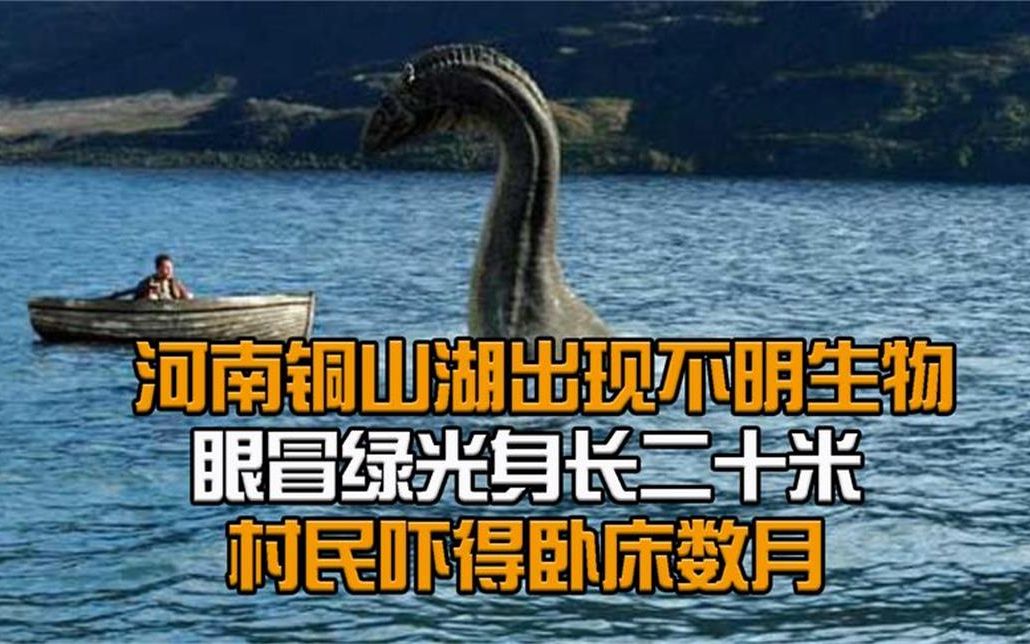 [图]河南铜山湖出现不明生物，眼冒绿光身长二十米，村民吓得卧床数月