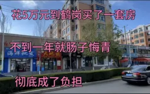 Скачать видео: 花5万元到鹤岗买了一套房，不到一年就肠子悔青，彻底成了负担！