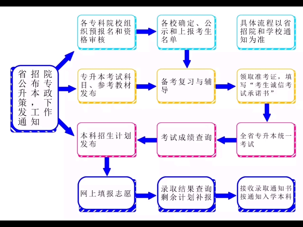 专升本报名流程图图片