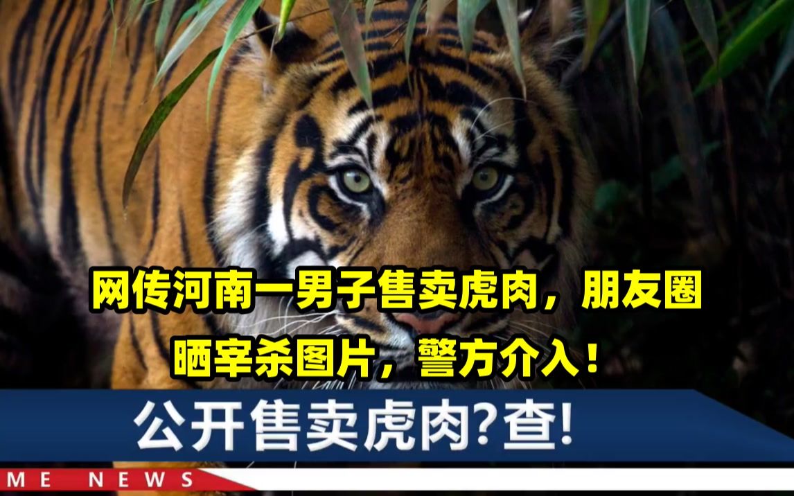 网传河南一男子售卖虎肉,朋友圈晒宰杀图片,警方介入!