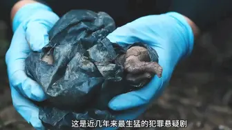 Download Video: 近几年来最生猛的犯罪悬疑剧，由于尺度太大被定义限制级别，没有破绽的犯罪手法，查无凶手的连续杀人案！