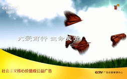 [图]CCTV公益广告 大爱前行 生命长青