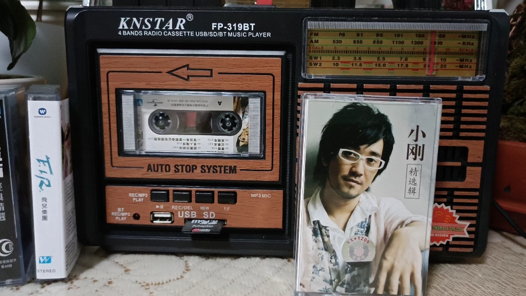 周传雄 小刚精选集磁带 黄昏 试听