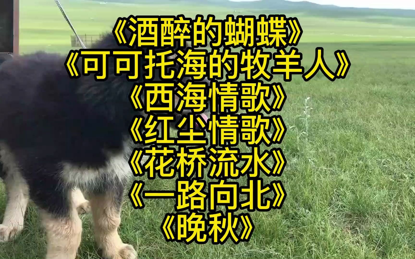 [图]《酒醉的蝴蝶》《可可托海的牧羊人》《西海情歌》《红尘情歌》《花桥流水》《一路向北》《晚秋》