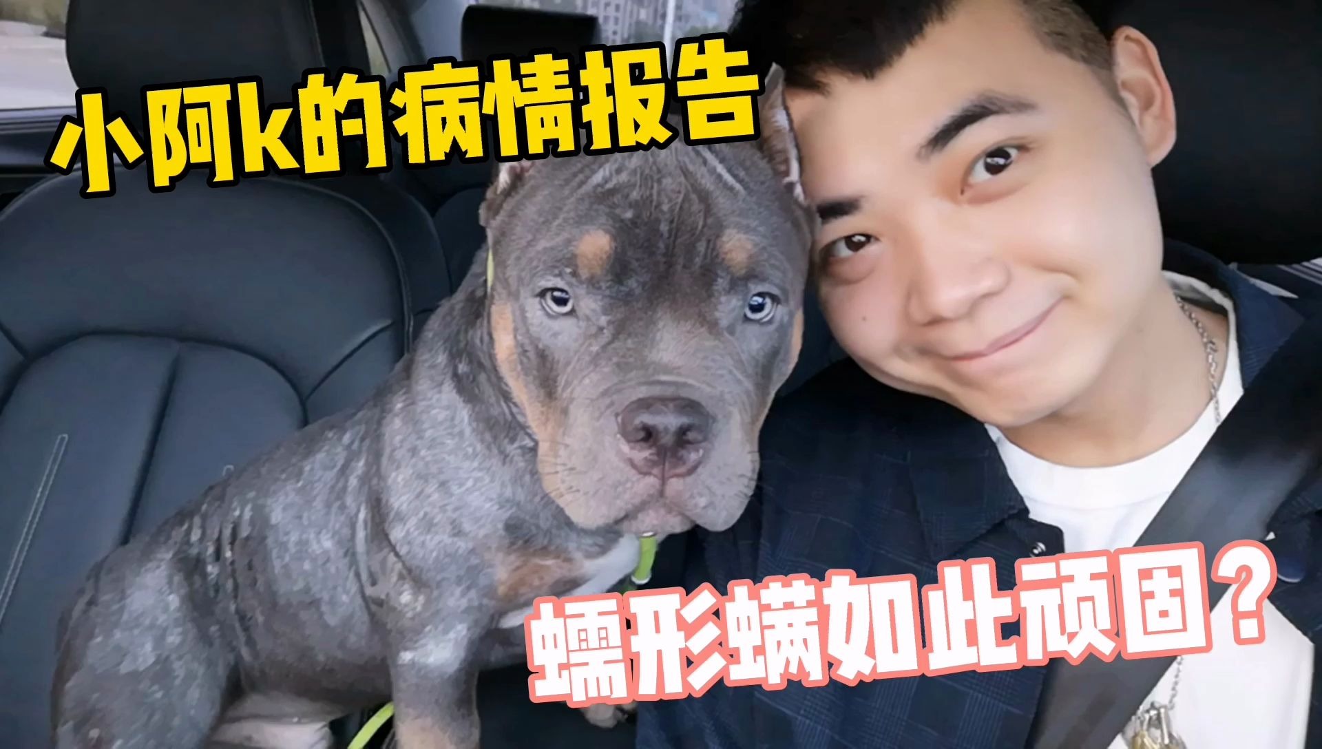 恶霸犬蠕形螨不好治疗?来来回回二个月了,再来医院看看复查一下哔哩哔哩bilibili