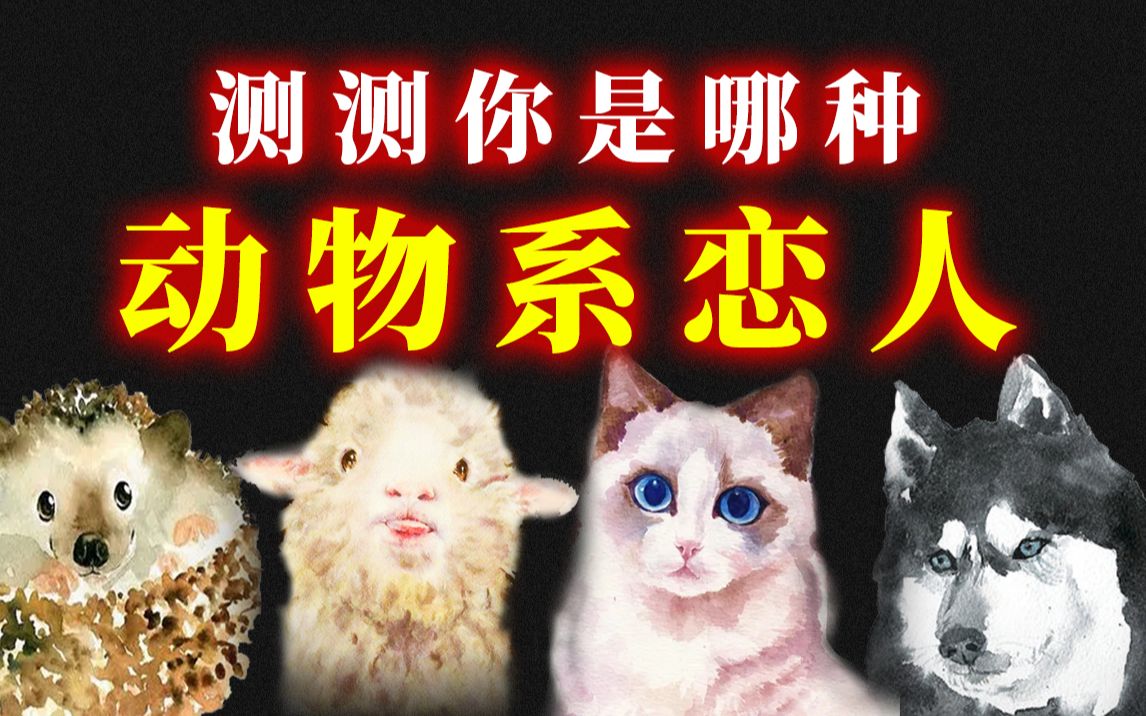 互动视频你是哪种动物系恋人猫系狼系犬系