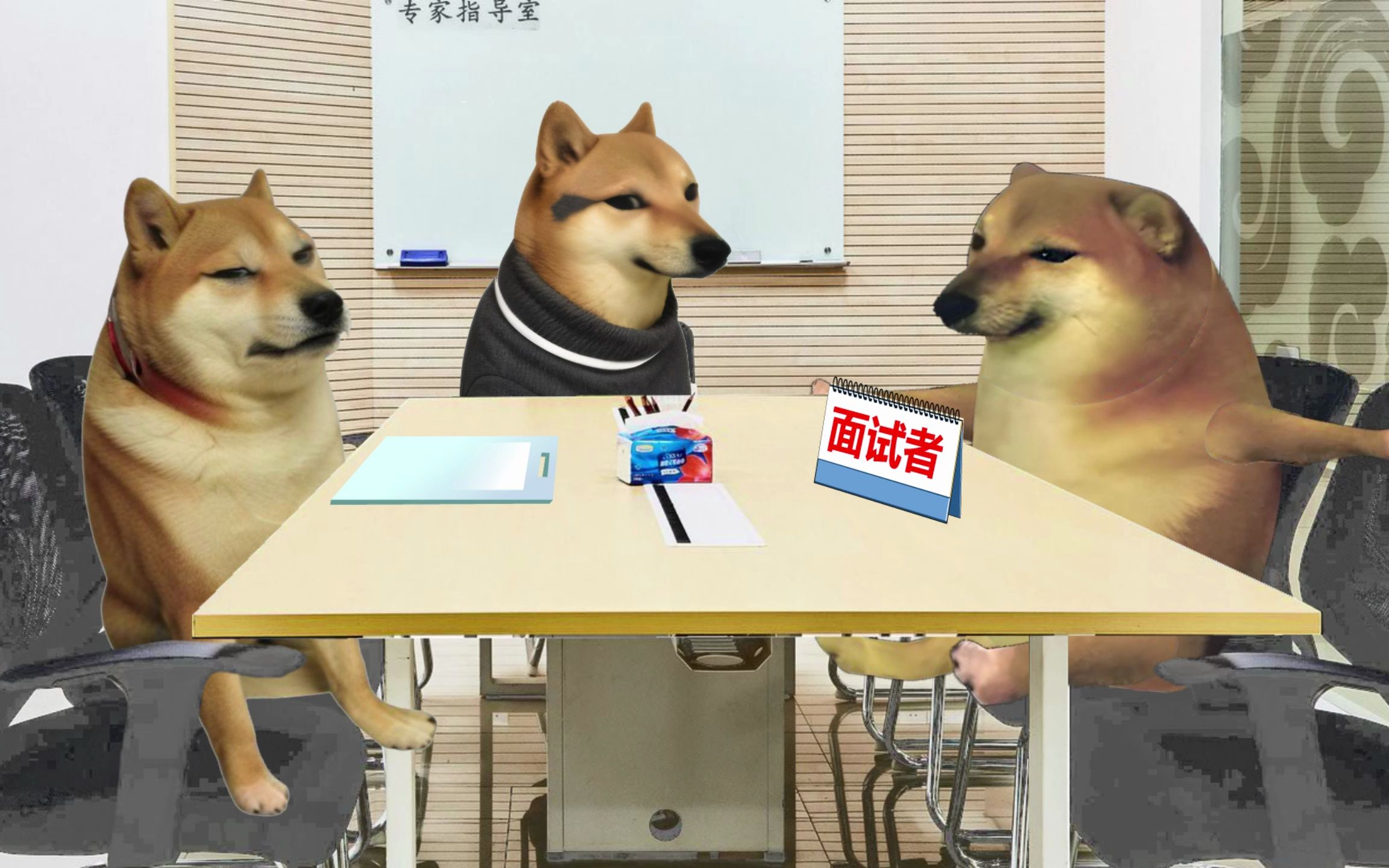 这是我们三个月以来，唯一来面试的大学生-cheems小电影-cheems小电影-哔哩哔哩视频