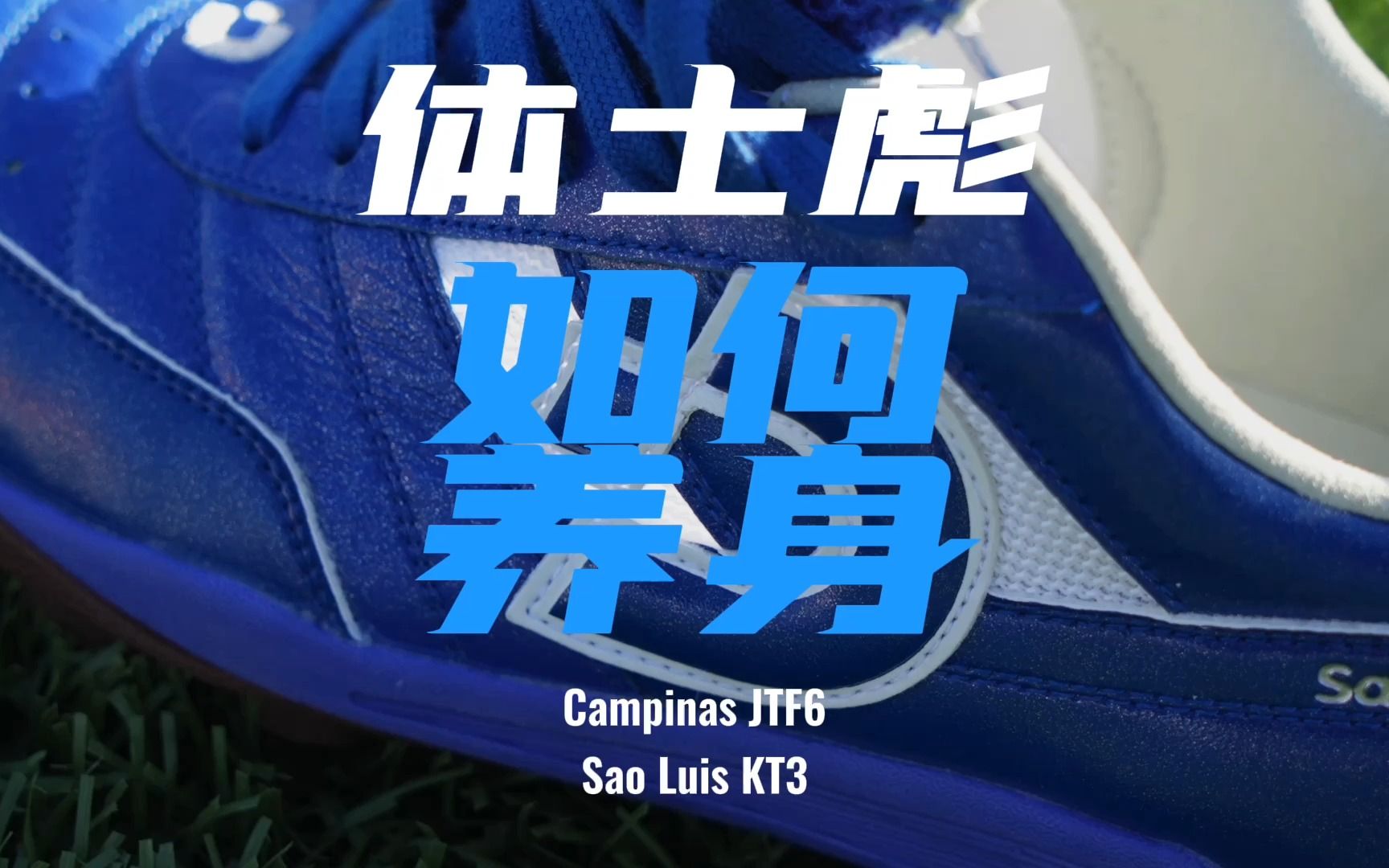 体士彪如何养身?|体士彪Campinas JTF6&Sao Luis KT3哔哩哔哩bilibili