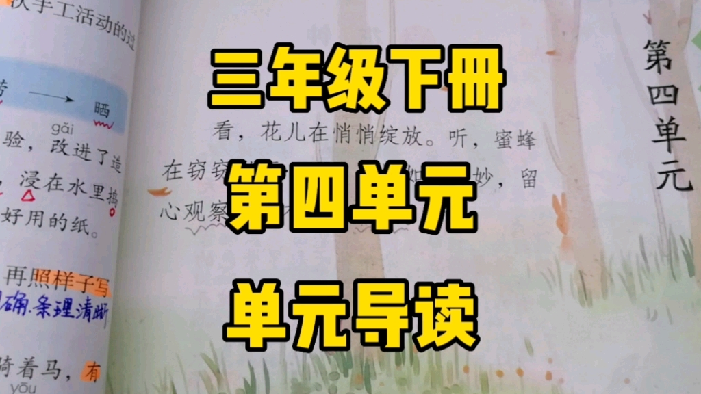 三年级语文下册:第四单元单元导读与指引,从身边小事观察,将你的发现告诉我们!紧扣这一人文主题轻松来学!哔哩哔哩bilibili