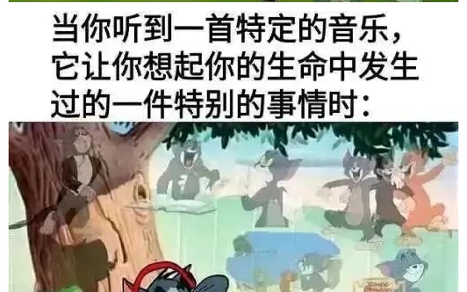 (网络爆笑梗图100)哔哩哔哩bilibili