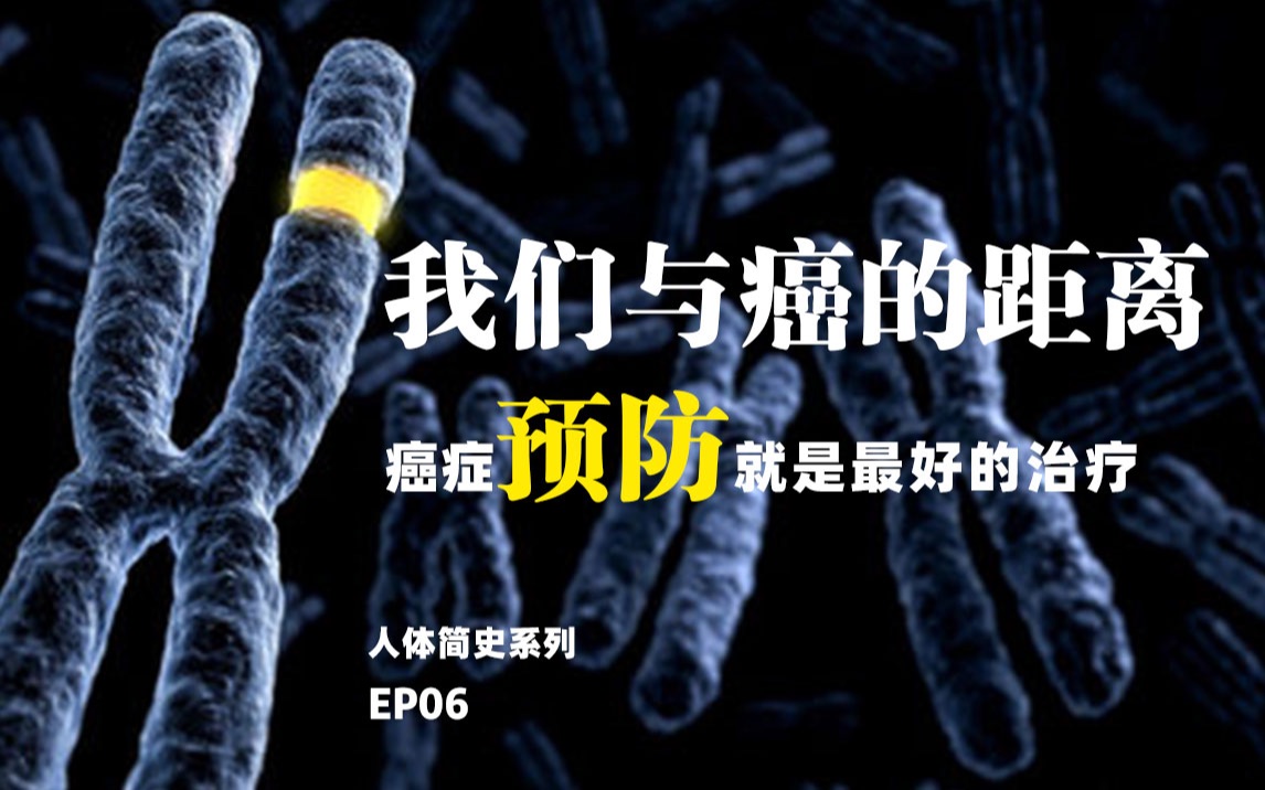 活动作品我们与癌的距离癌症预防就是最好的治疗人体简史第六集