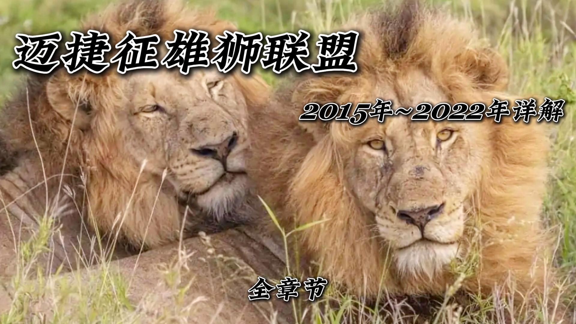 [图]迈捷征雄狮联盟2015年~2022年详解《全章节》