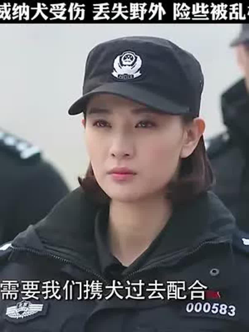 犬受伤丢失野外,幸好被老婆婆发现,不过要截肢 #桃创计划 #警花与警犬