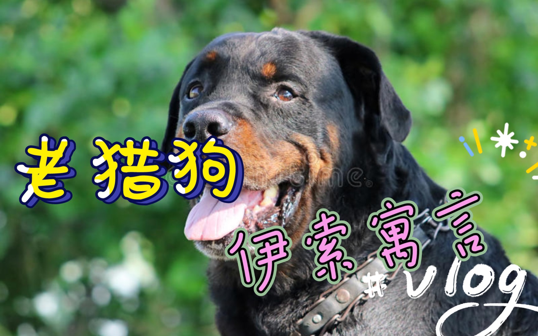 老猎狗【伊索寓言】