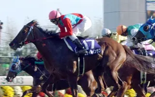 秋华赏 搜索结果 哔哩哔哩 Bilibili