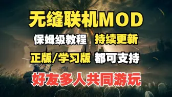 Video herunterladen: 【艾尔登法环】无缝联机MOD1.8.9整合包，持续更新，老头环黄金树幽影，正版联机+学习版联机补丁