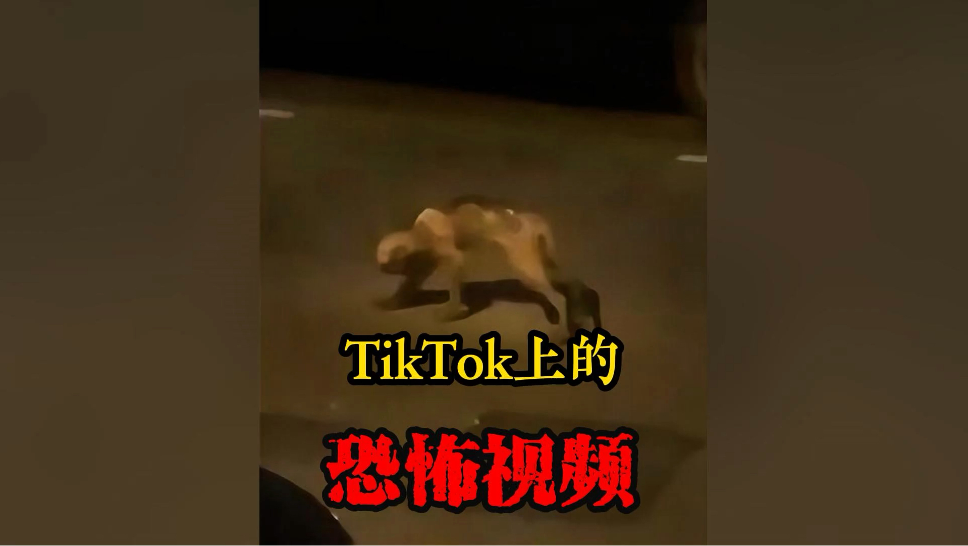 tiktok上的恐怖视频