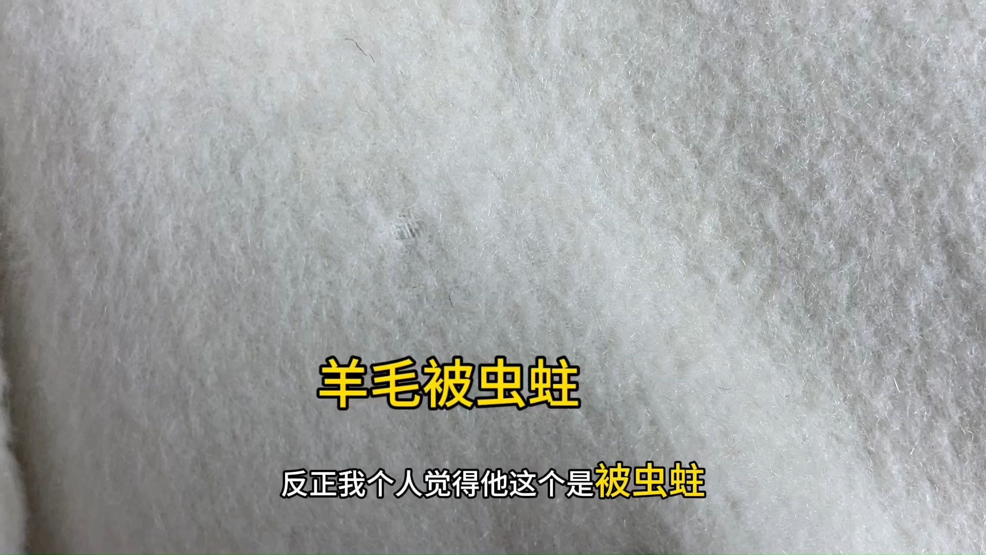 羊毛大衣洗完有一个洞,顾客说洗衣店洗坏了,羊毛衣服容易被虫蛀哔哩哔哩bilibili