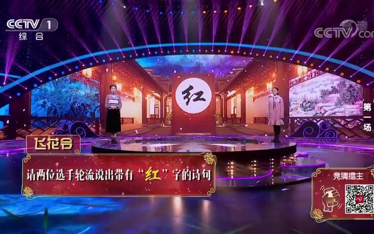 《中国诗词大会》 第四季第一场单字飞花令红