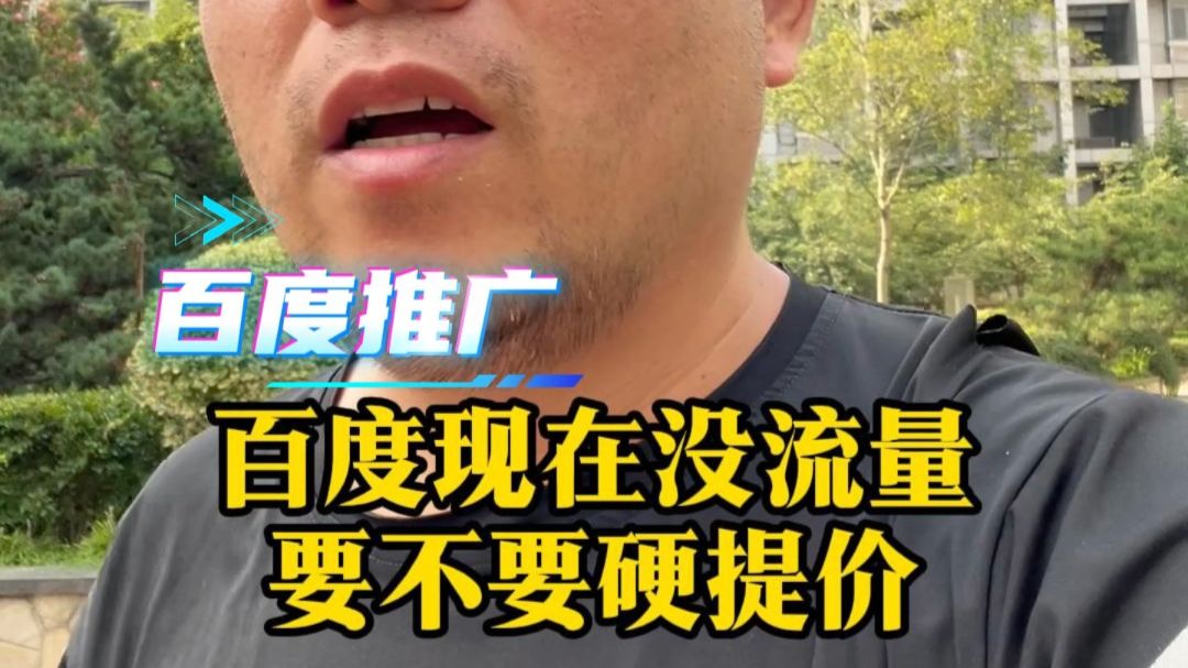 百度现在没流量要不要硬提价？百度账户不消费怎么办