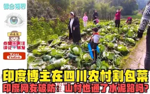 Descargar video: 印度博主在四川农村割包菜，印度网友破防：山村也通了水泥路吗？