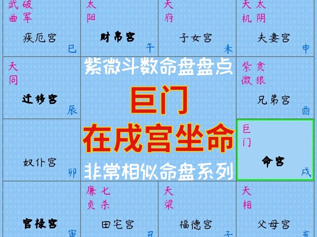 巨门在戌宫坐命(紫微斗数非常相似命盘盘点)哔哩哔哩bilibili