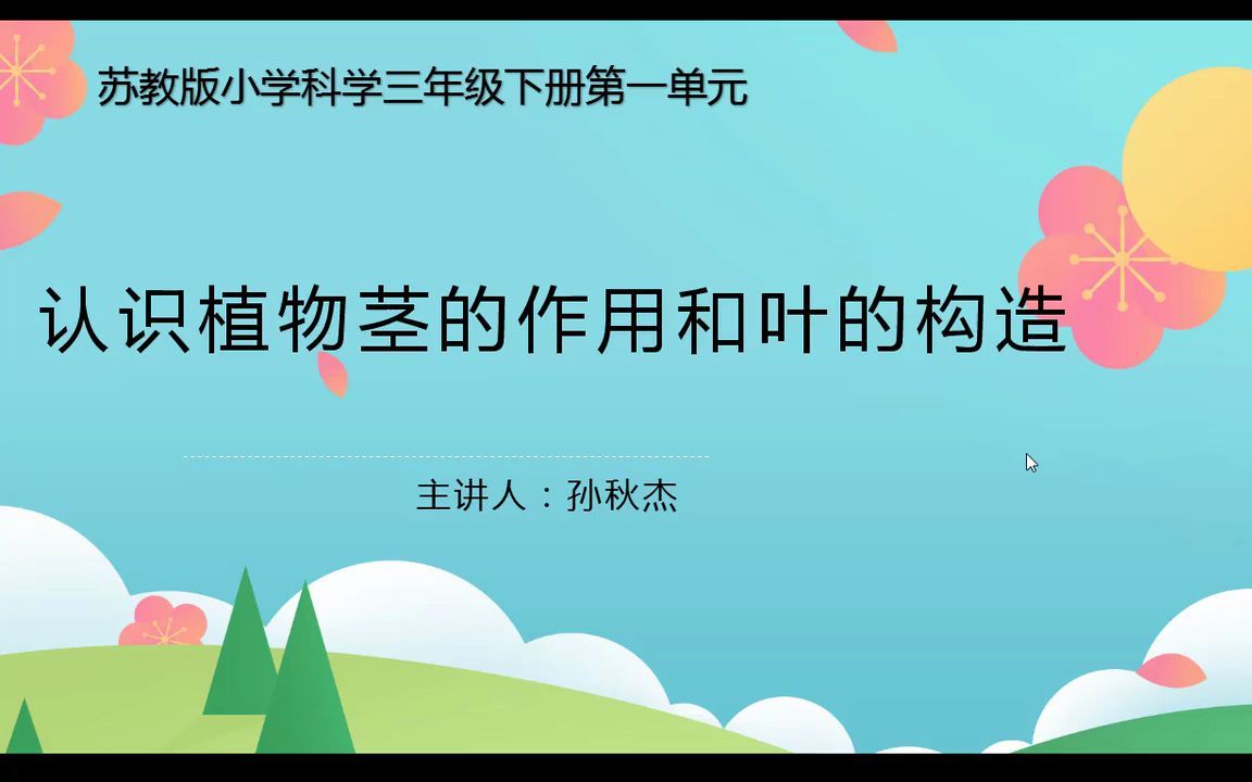 小学科学3下 幼苗长大了 第2课时《认识植物茎的作用和叶的构成》哔哩哔哩bilibili