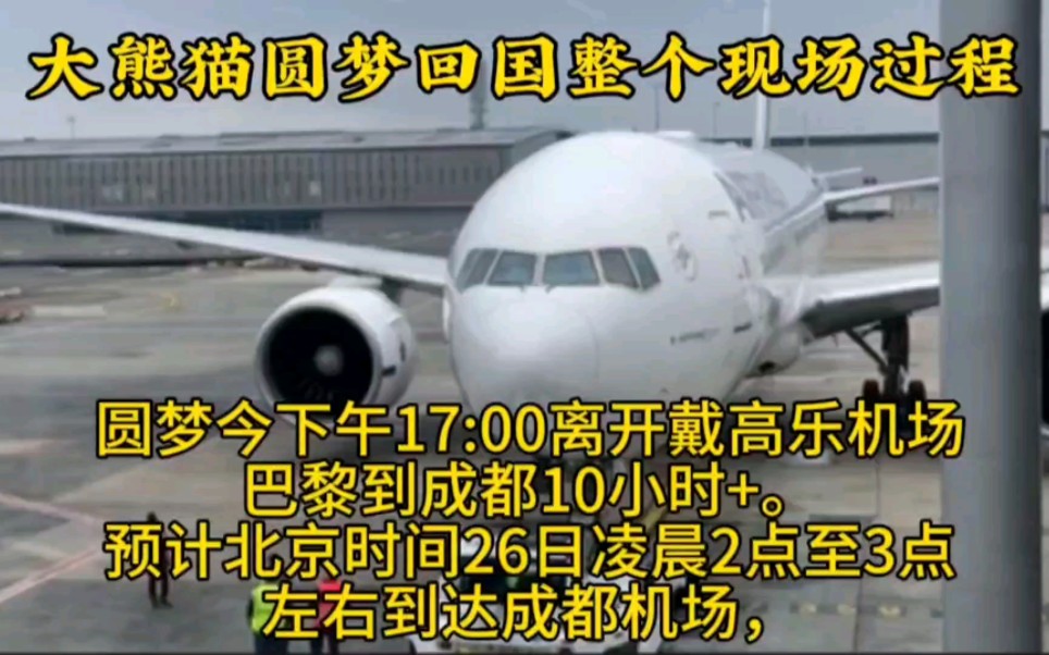 大熊猫圆梦回国真实全过程,圆梦今下午17:00离开戴高乐机场,巴黎到成都10小时+.预计北京时间26日凌晨2点至3点左右到达成都机场.哔哩哔哩bilibili