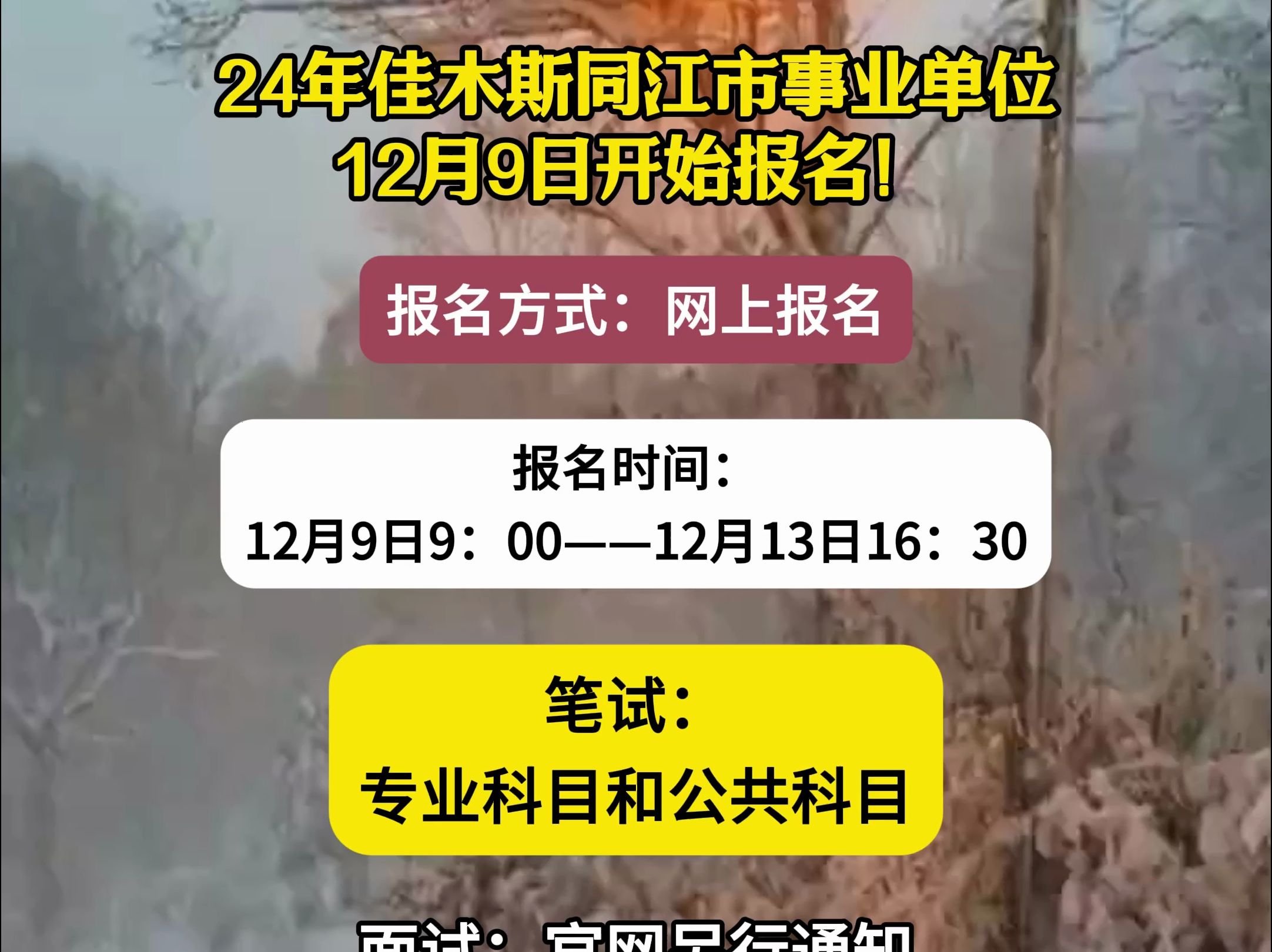 24年佳木斯同江市事业单位12月9日开始报名!哔哩哔哩bilibili