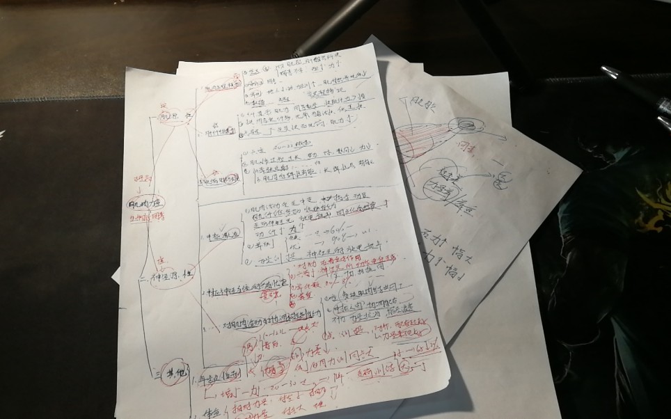 运动生理学考研必考题01—肌肉力量(力量素质)的生理学因素哔哩哔哩bilibili