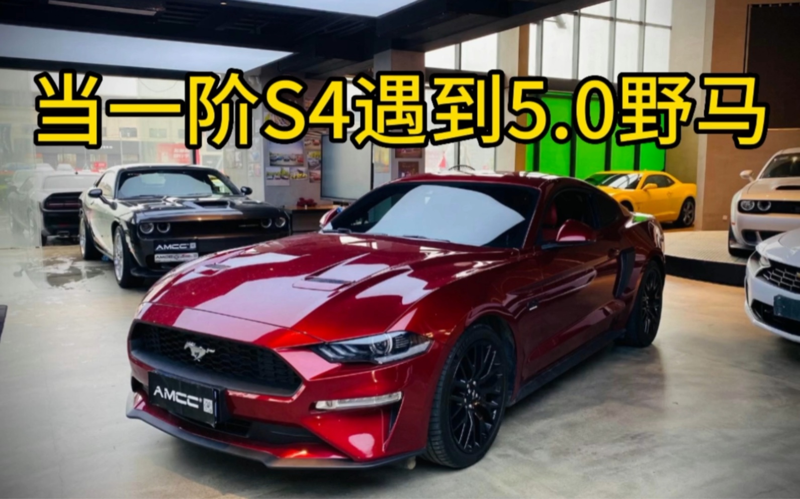 5.0的野马这路况也不行啊,没有拼后段的机会