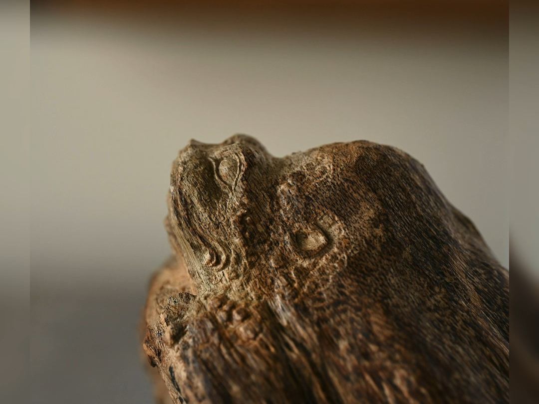 马泥涝沉香"招财金蟾"