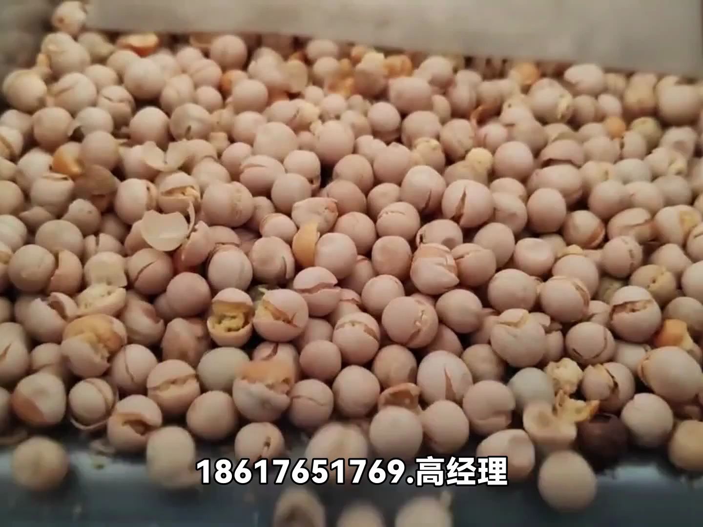 履带式九通道毛豆种子牡丹籽色选机多少钱