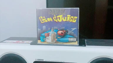 Joint Mobb - Zaggin Die'N Everyday（1994， Toledo, OH）_哔哩哔哩_
