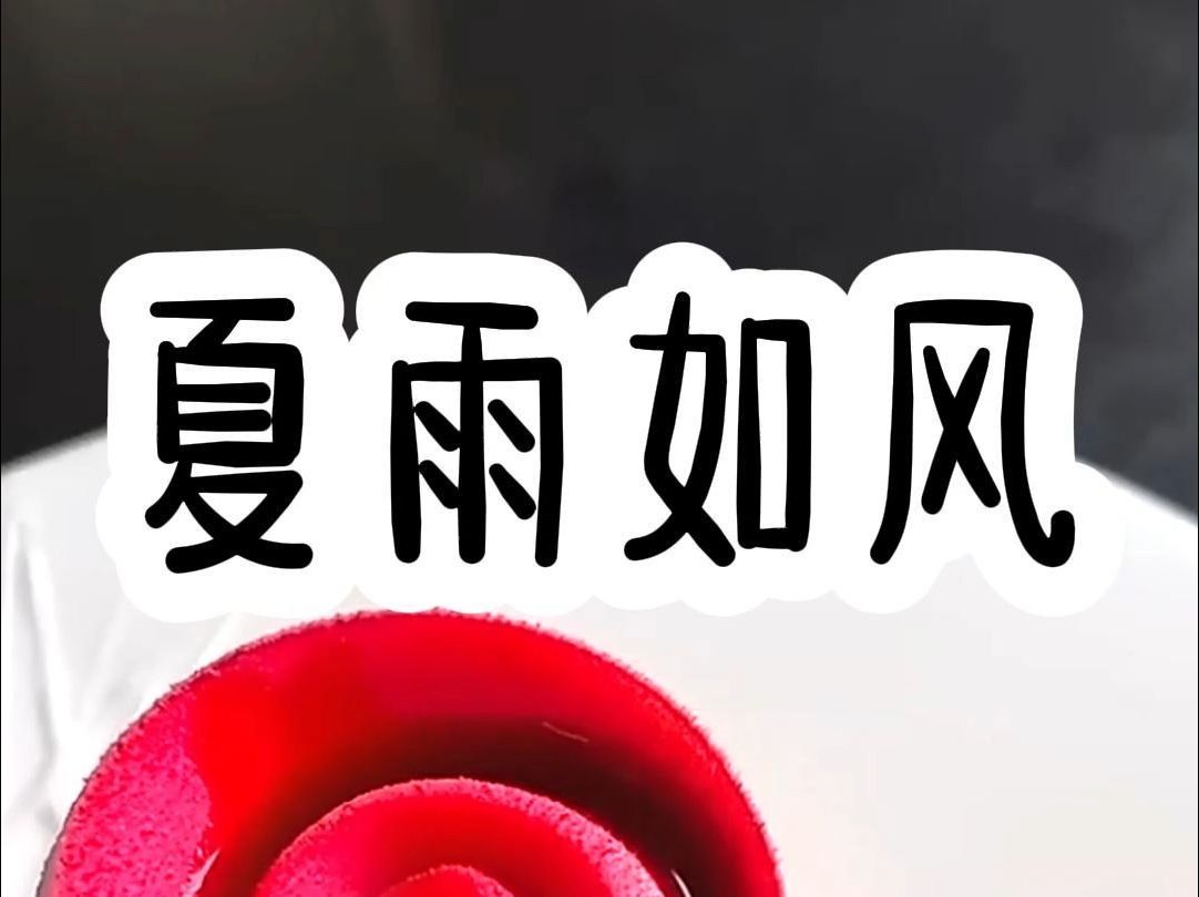 《夏雨如风》#故事 #书荒推荐 #女生必看哔哩哔哩bilibili