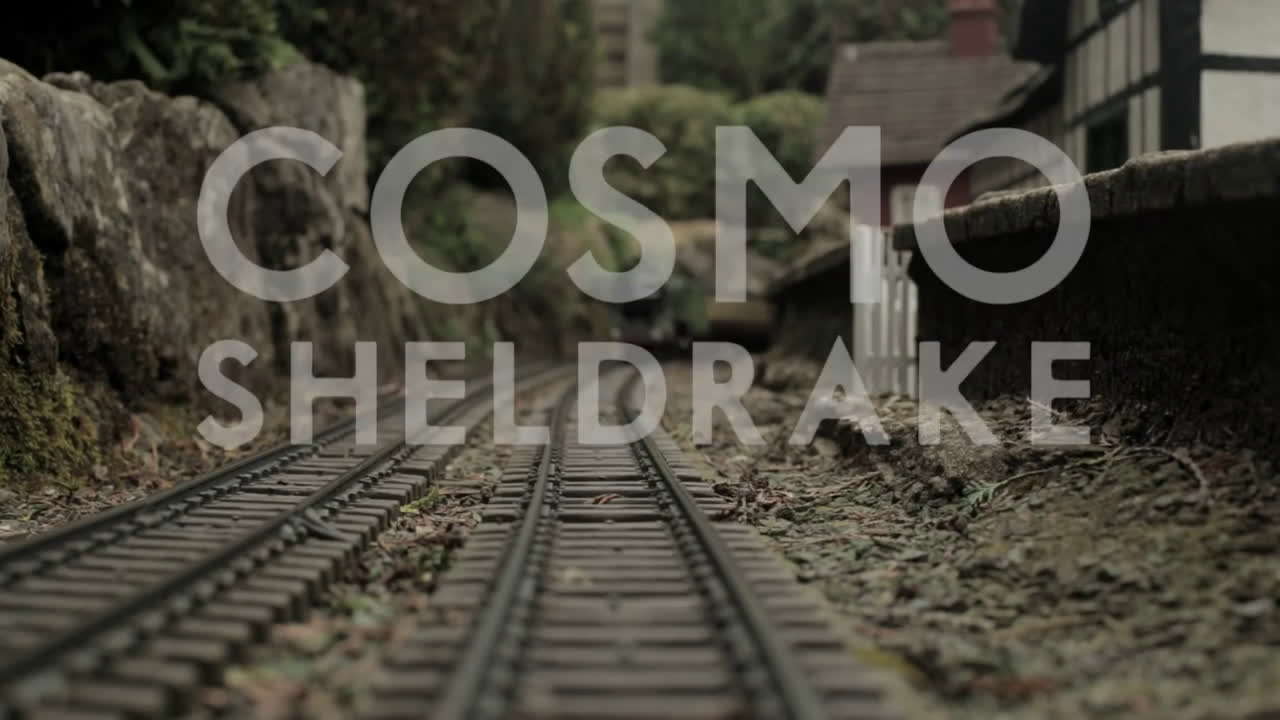【cosmo sheldrake】- the moss (live at the village)