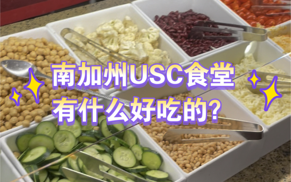 南加州大学USC的$15刀自助食堂有什么好吃的?碳水盛宴!美国大学如何测新冠?牛肉饭,披萨,虾仁奶油意面,沙拉等哔哩哔哩bilibili