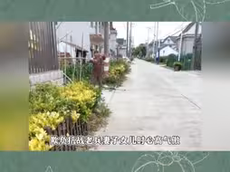 欺负去世老兵妻女的时候心高气傲，网友出招去军区大院哭生死难料
